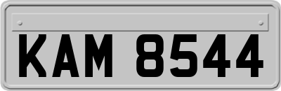 KAM8544
