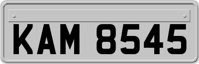 KAM8545