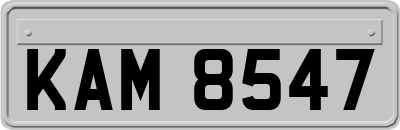 KAM8547