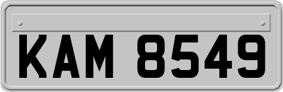 KAM8549