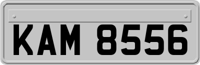 KAM8556