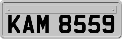 KAM8559