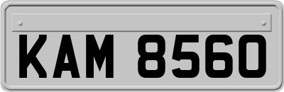 KAM8560
