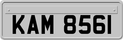 KAM8561