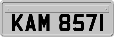 KAM8571