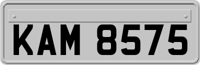 KAM8575