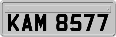 KAM8577