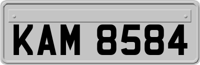 KAM8584