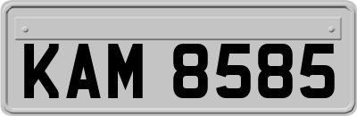 KAM8585