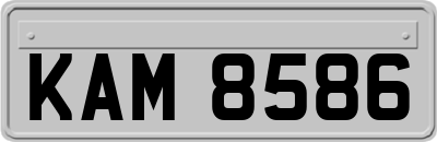 KAM8586