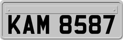 KAM8587