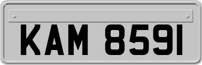 KAM8591