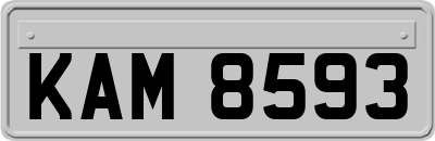 KAM8593