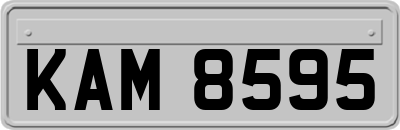 KAM8595