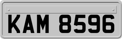 KAM8596
