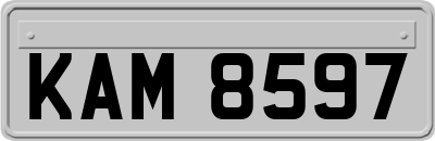 KAM8597