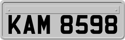 KAM8598