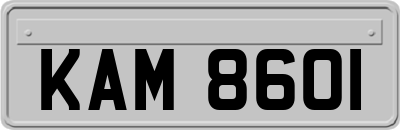 KAM8601