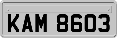 KAM8603