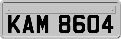 KAM8604