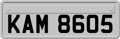 KAM8605