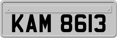 KAM8613