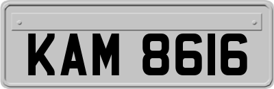 KAM8616