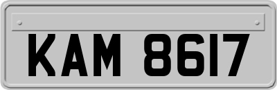 KAM8617