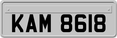 KAM8618