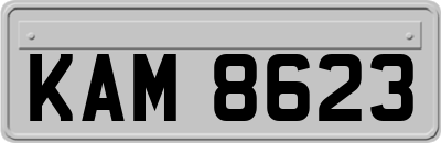 KAM8623