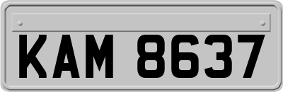 KAM8637