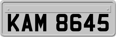 KAM8645