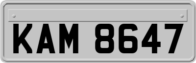 KAM8647