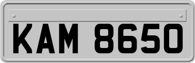 KAM8650