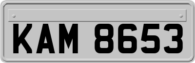 KAM8653