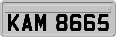 KAM8665