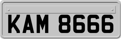 KAM8666