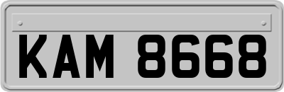 KAM8668