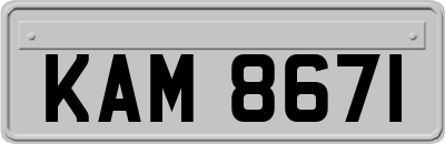 KAM8671