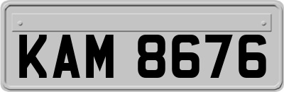 KAM8676