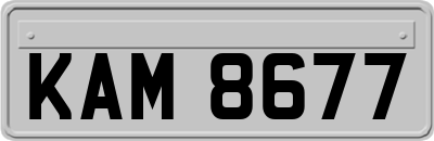 KAM8677