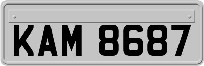 KAM8687