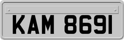 KAM8691