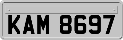KAM8697