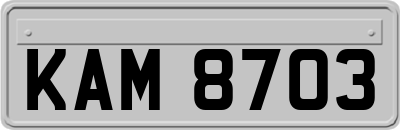 KAM8703