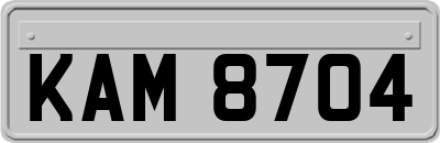 KAM8704
