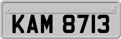 KAM8713