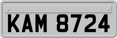 KAM8724