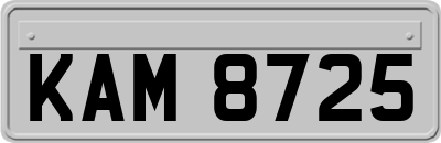 KAM8725