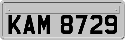 KAM8729